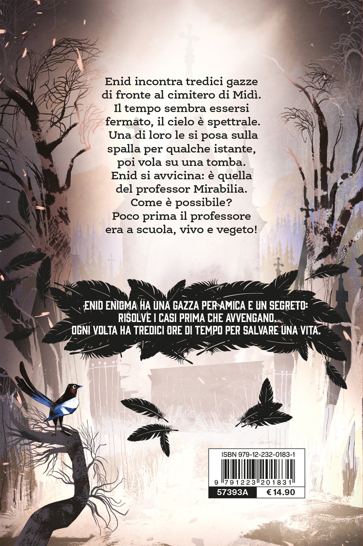 Enid Enigma. Tredici gazze per un delitto