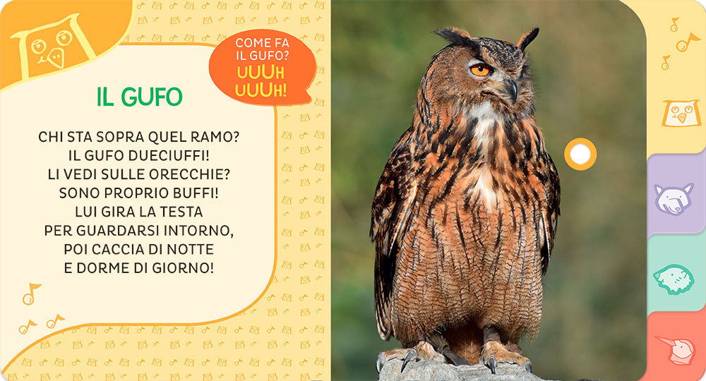 Animali del bosco. Primi Suoni