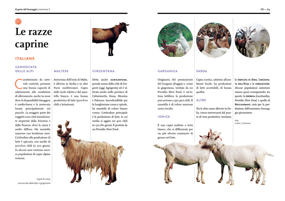 Il gusto del formaggio. Conoscere le forme del latte