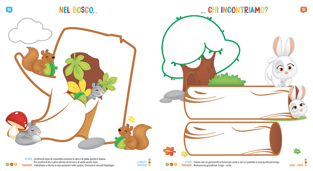 COMPETENZE IN GIOCO 4 anni