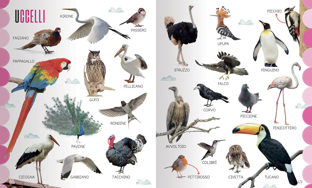 Le mie prime 1000 parole. Una raccolta di parole per suddivise per argomento per arricchire il tuo vocabolario