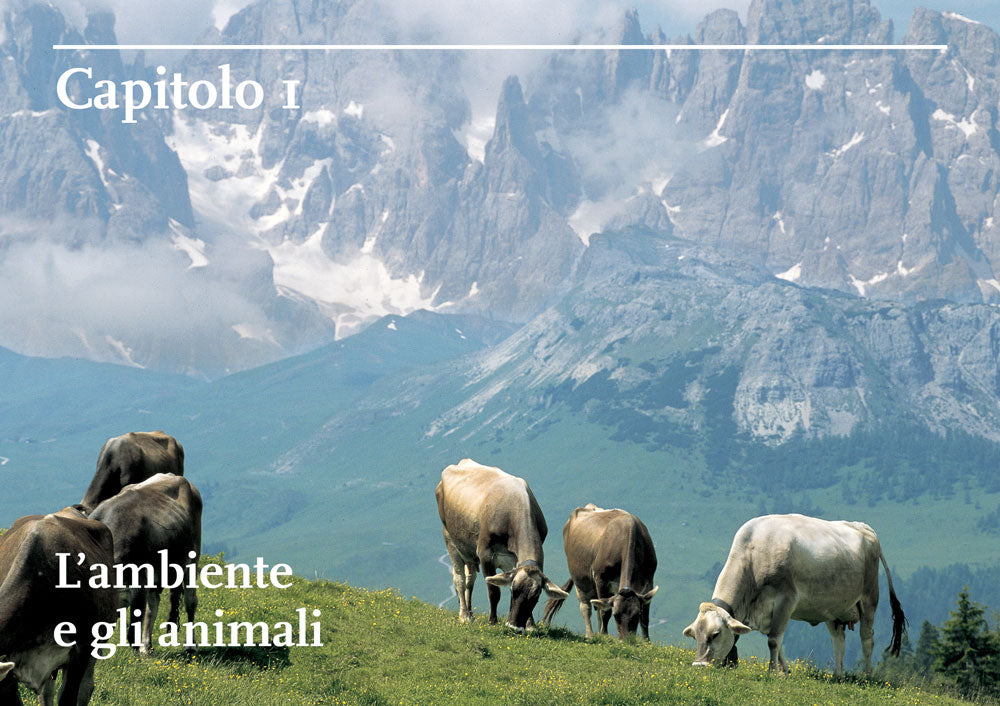 Il gusto del formaggio. Conoscere le forme del latte