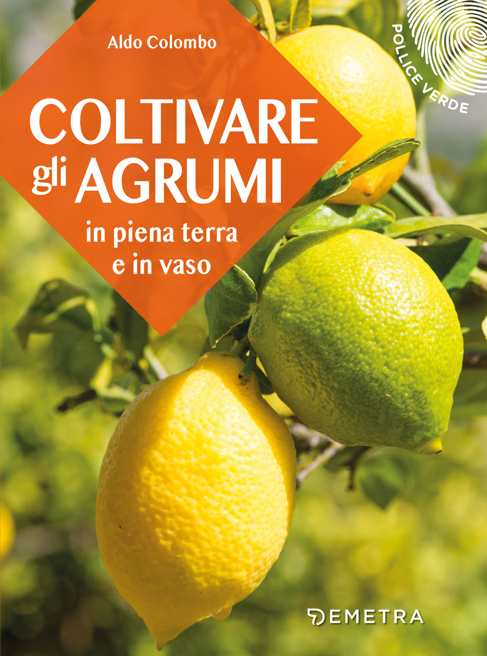 Coltivare gli agrumi. in piena terra e in vaso