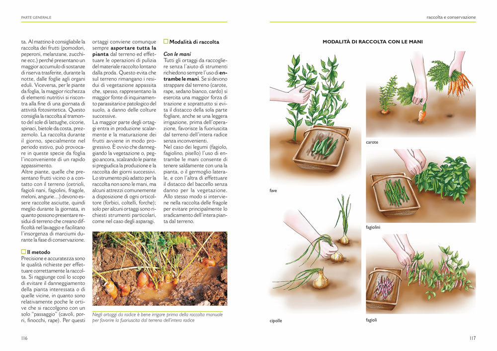 Il grande libro dell'orto. Guida completa