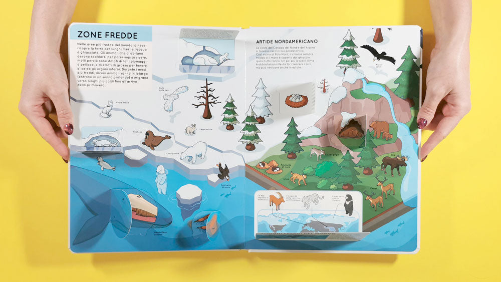 Alza e scopri – Animali