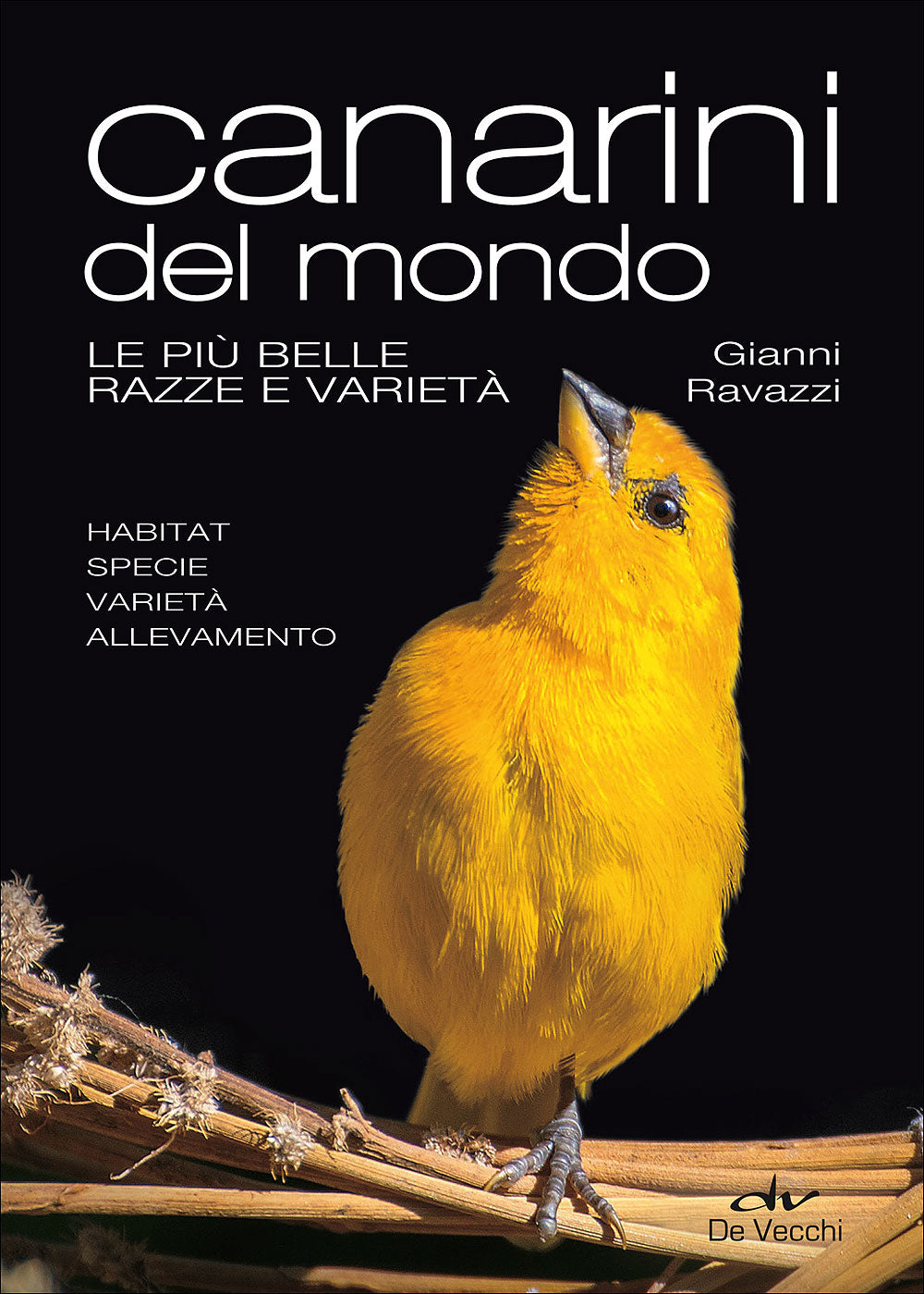 Canarini del mondo. Le più belle razze e varietà