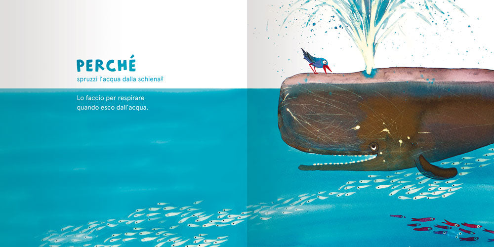 Perché si dice perché?