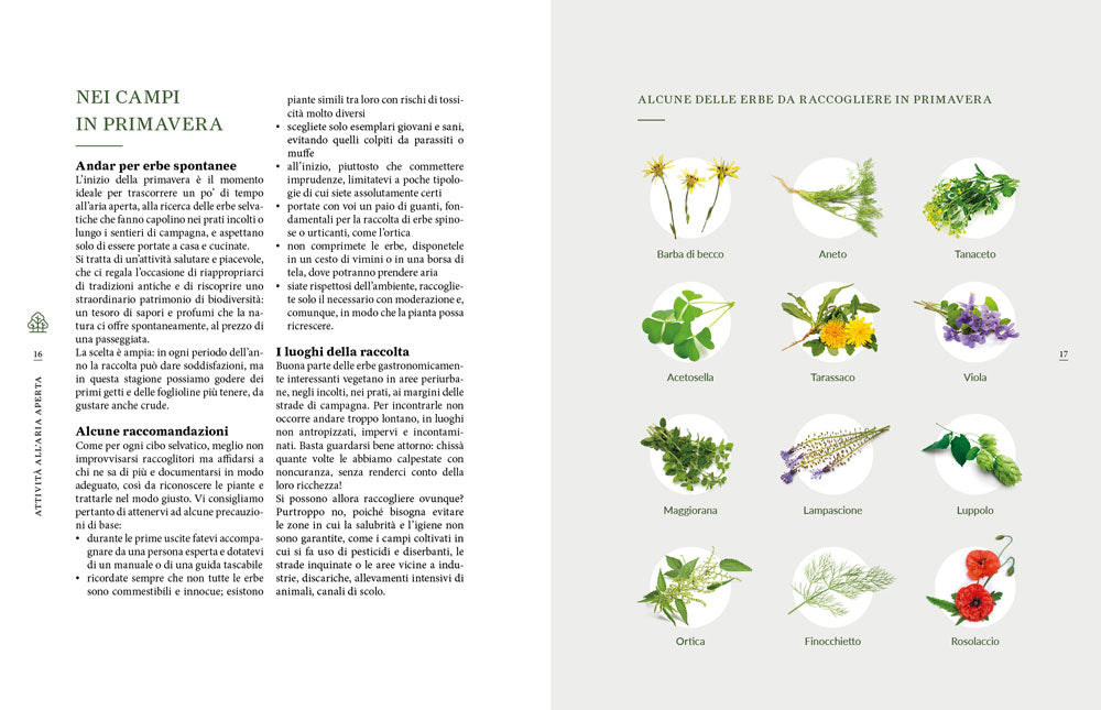 Outdoor. Vita e cucina all'aperto. Vita e cucina all'aperto