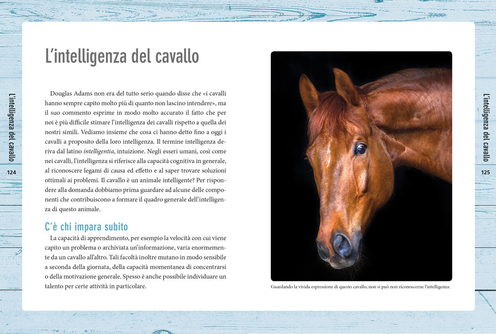 Nella mente del cavallo. Capire le sue emozioni, rispettare la sua intelligenza