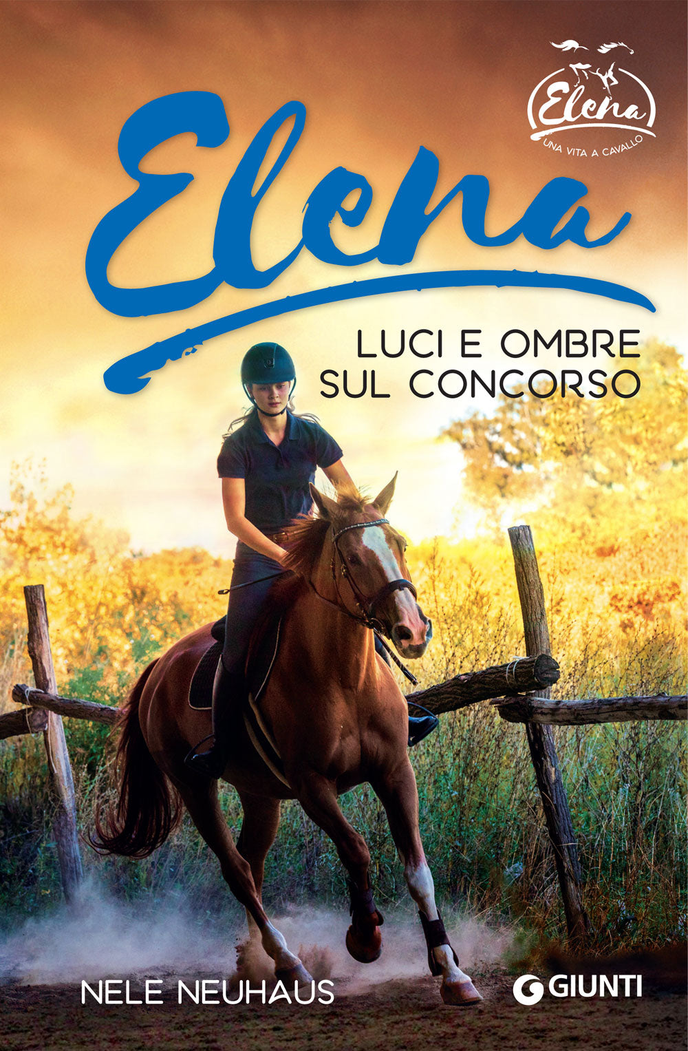 Elena. Luci e ombre sul concorso. 3