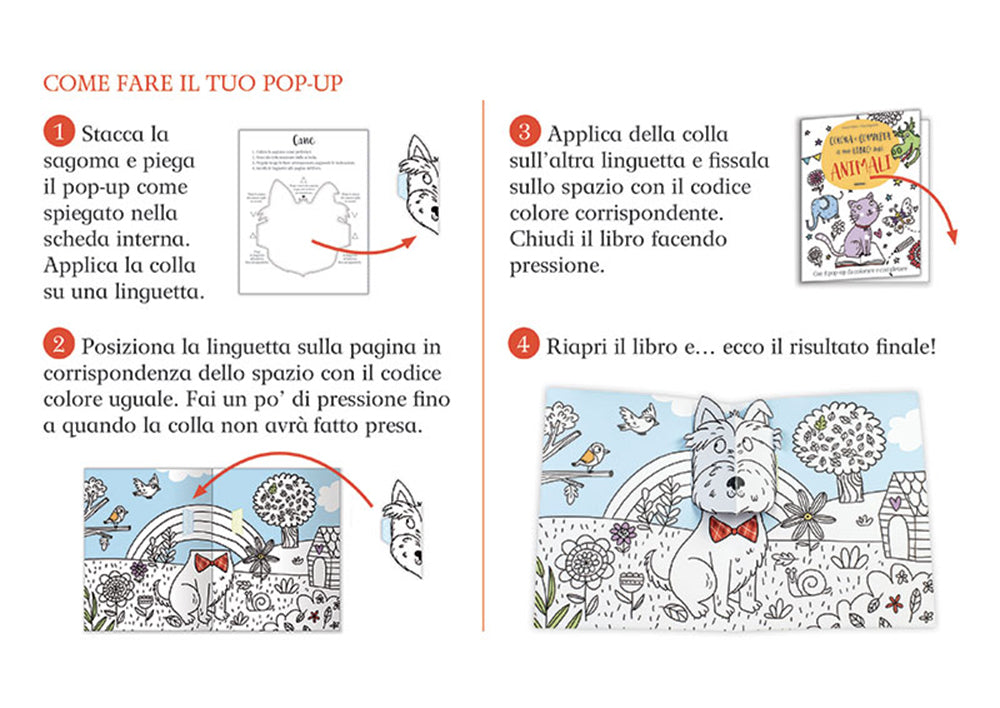 Colora e completa il tuo libro degli animali