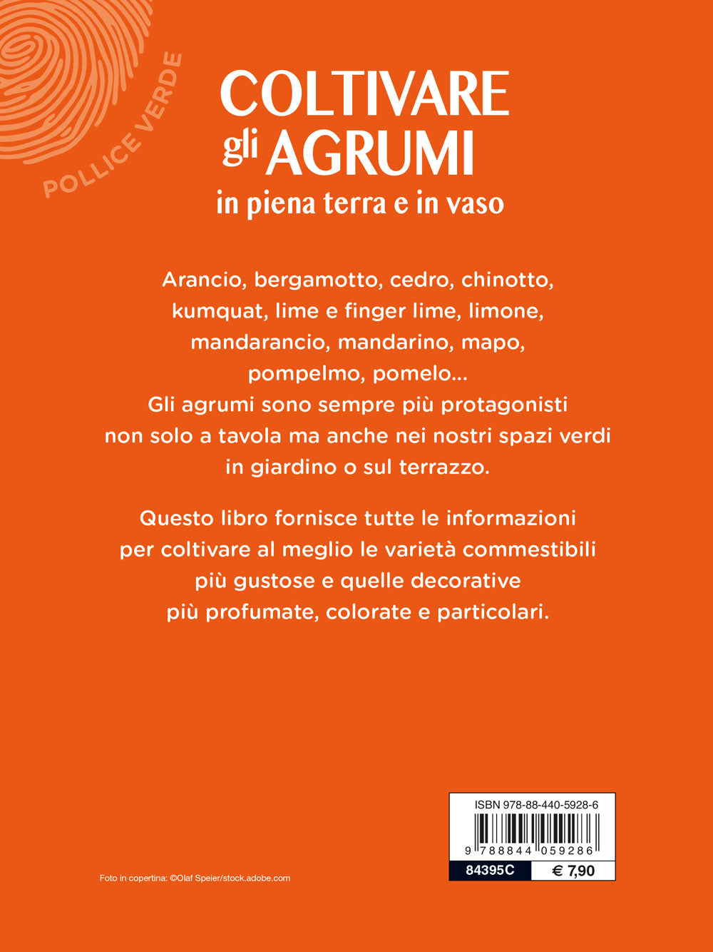 Coltivare gli agrumi. in piena terra e in vaso