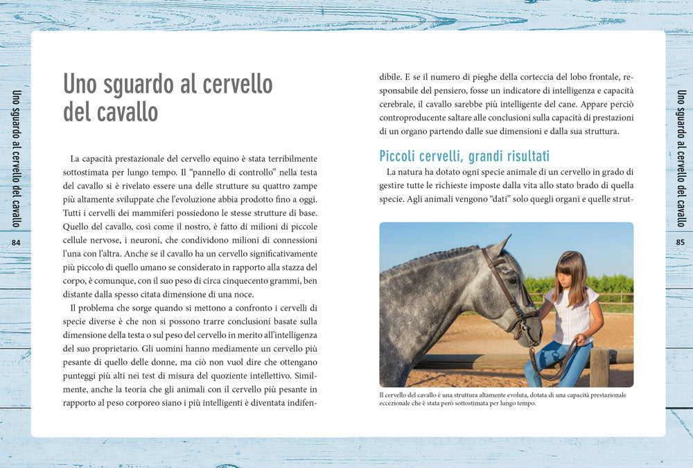 Nella mente del cavallo. Capire le sue emozioni, rispettare la sua intelligenza