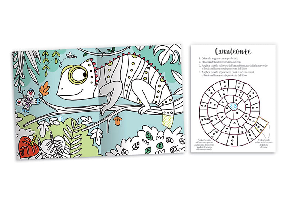 Colora e completa il tuo libro degli animali