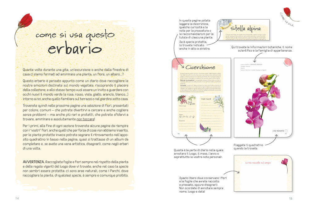 Il mio erbario di fiori e foglie. Per raccogliere e conservare piante, ricordi ed emozioni