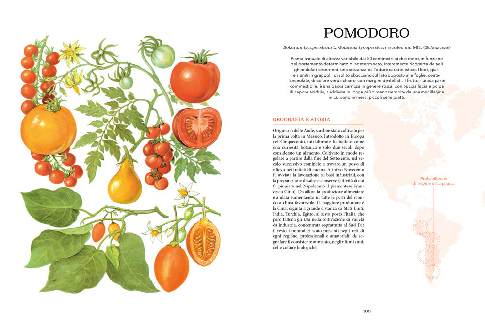 Atlante gastronomico dell'orto