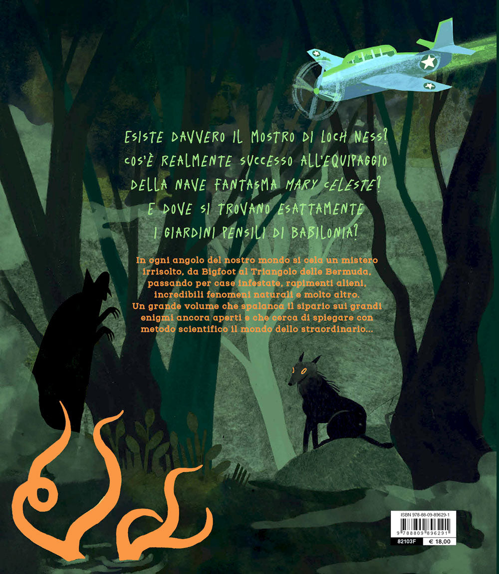 Il libro dei misteri