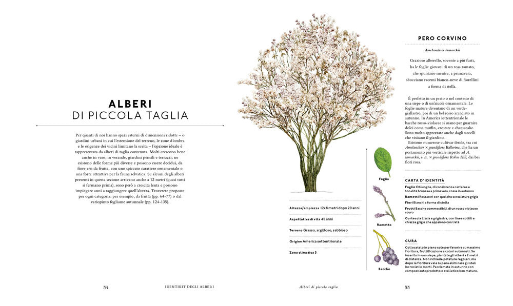Un mondo di alberi. Sceglierli, piantarli, curarli e...cambiare il mondo