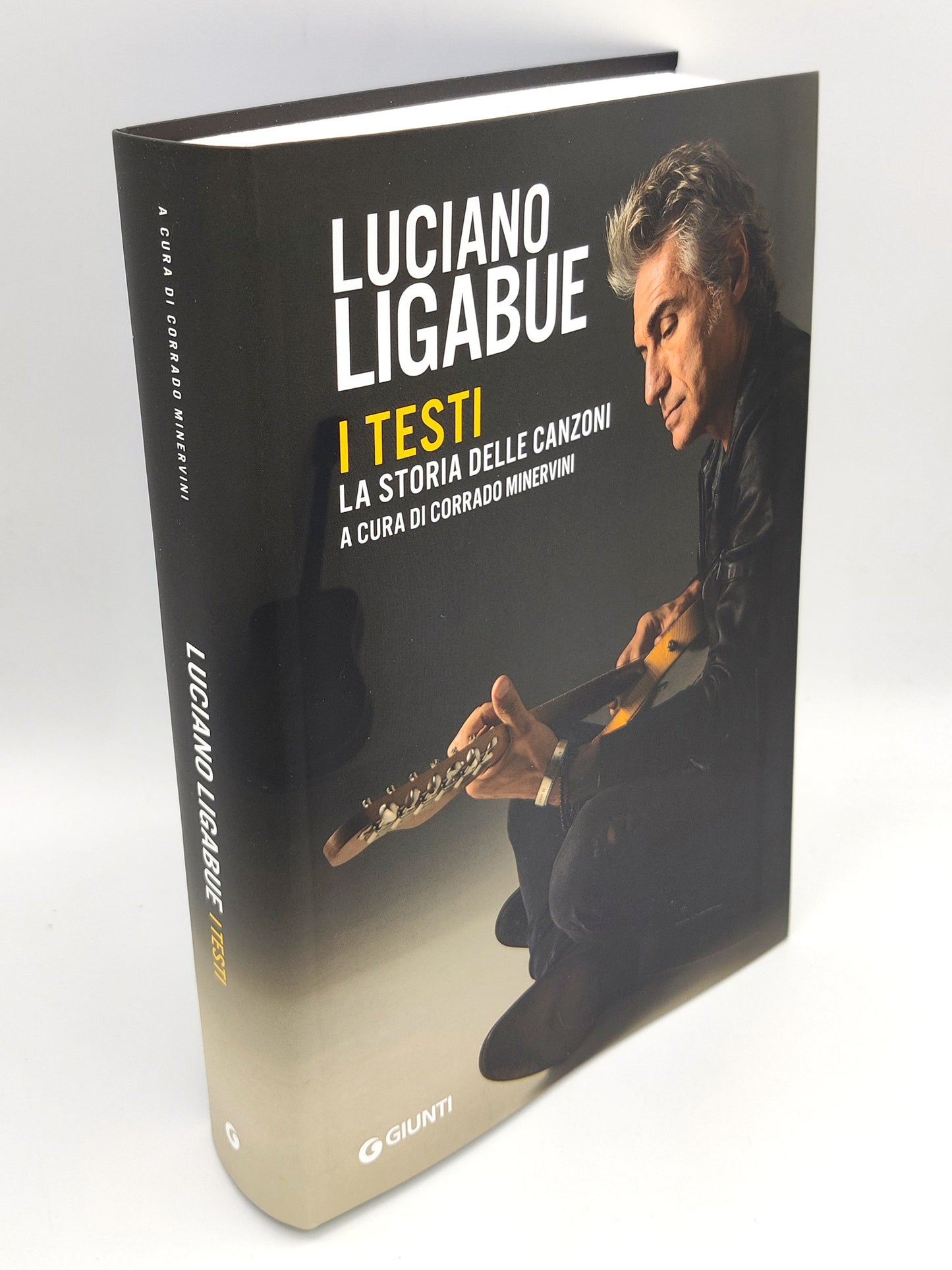 Luciano Ligabue. I testi. La storia delle canzoni