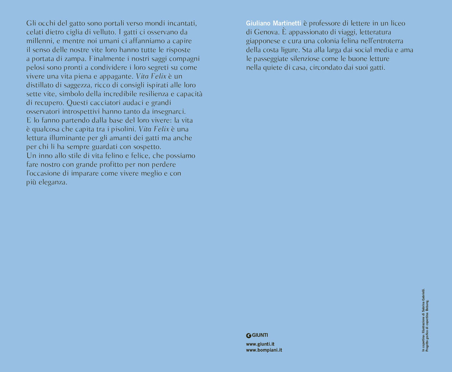 Vita felix. La via dei gatti per un'esistenza felice