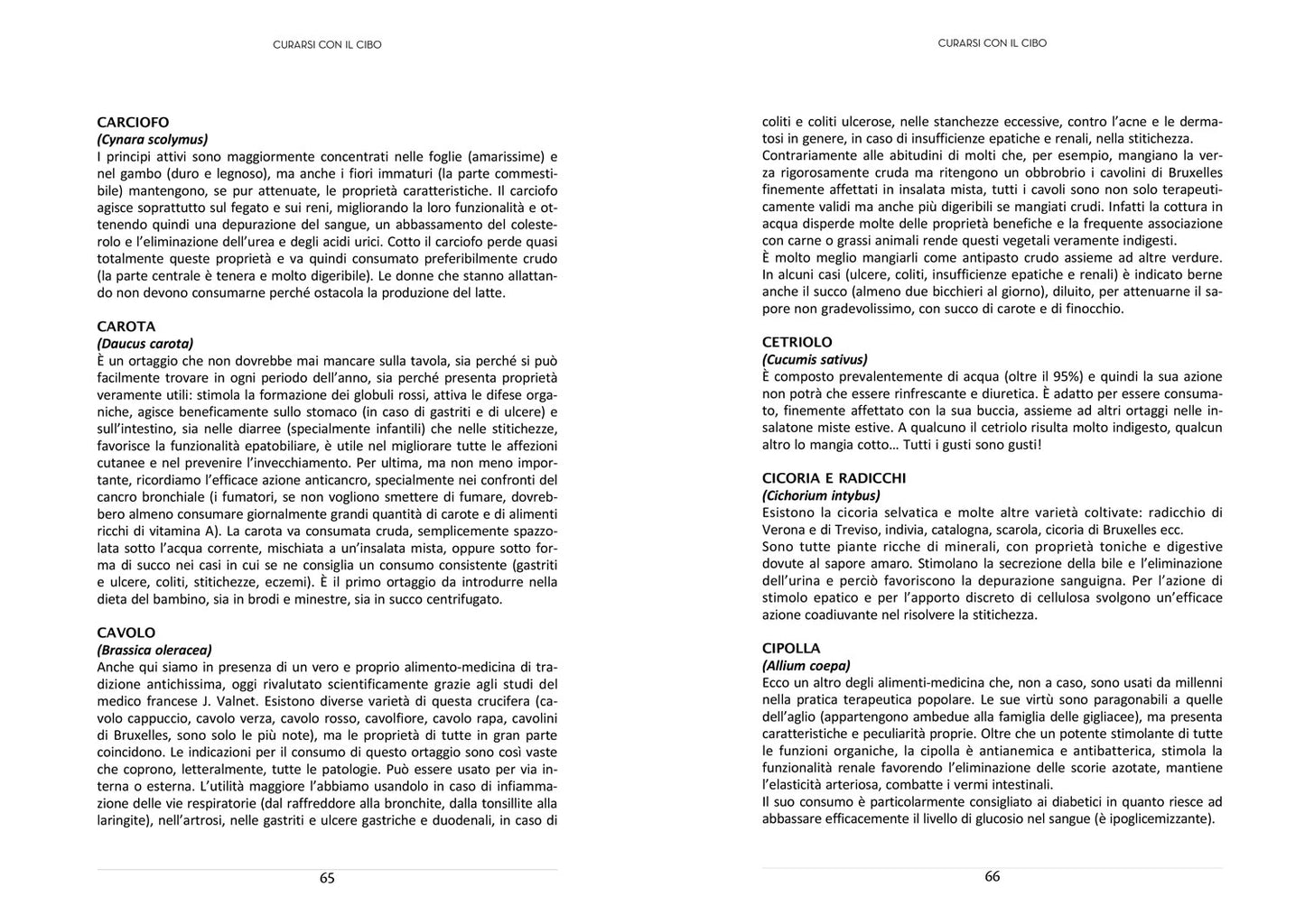 Il cucchiaio verde. La bibbia della cucina vegetariana