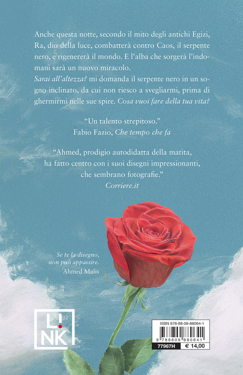 Disegnavo pappagalli verdi alla fermata del metrò. Storia di Ahmed Malis