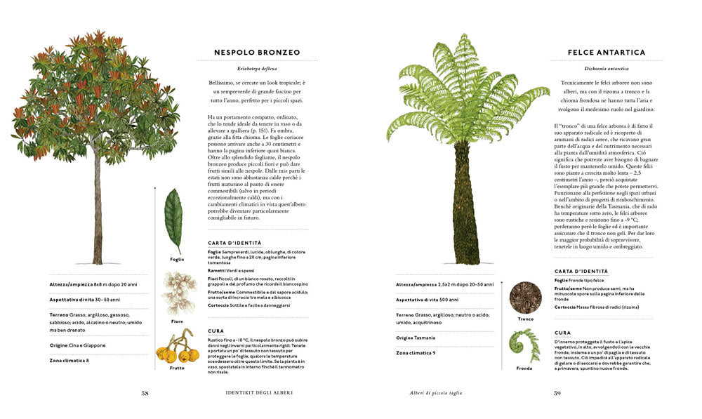 Un mondo di alberi. Sceglierli, piantarli, curarli e...cambiare il mondo