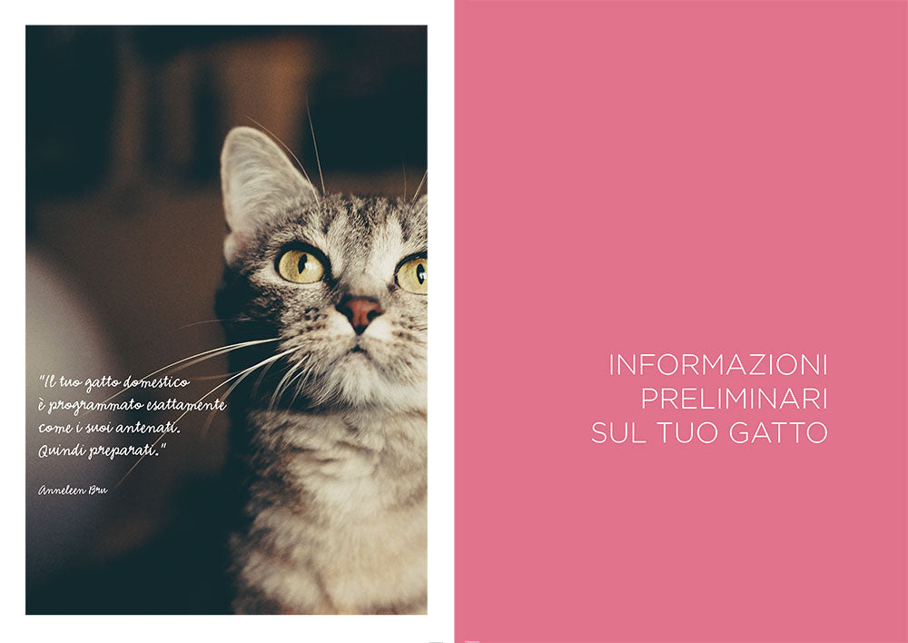 I love happy cats. Guida per avere un gatto felice