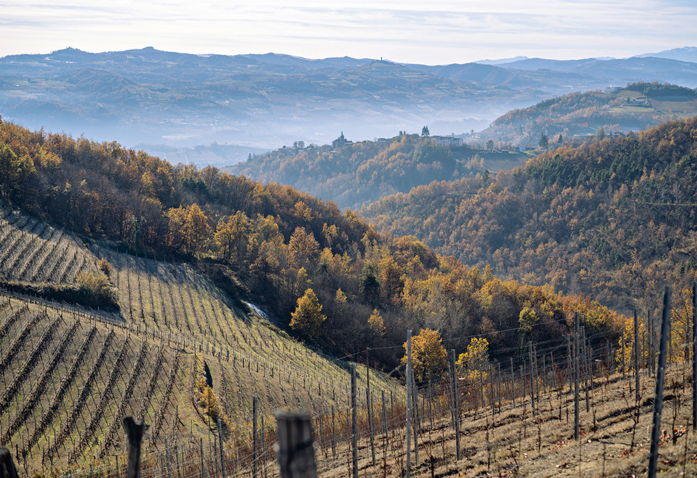 ALTA LANGA. Itinerari, cibi, storie
