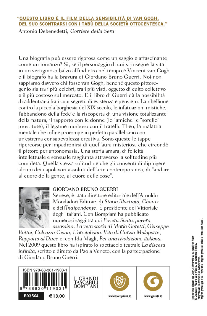 Follia?. Vita di Vincent van Gogh