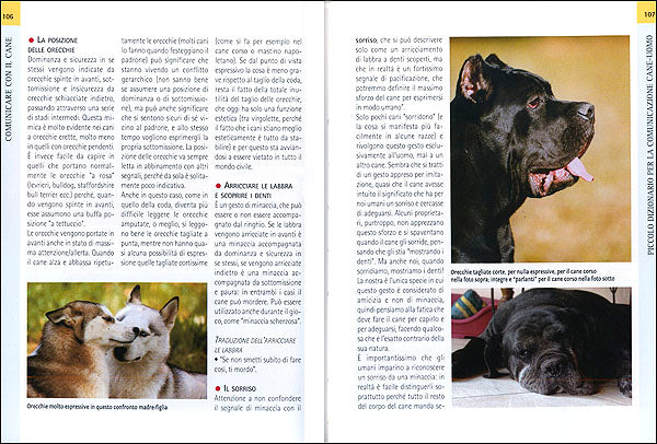 Comunicare con il cane. Come dialogare meglio con il proprio amico