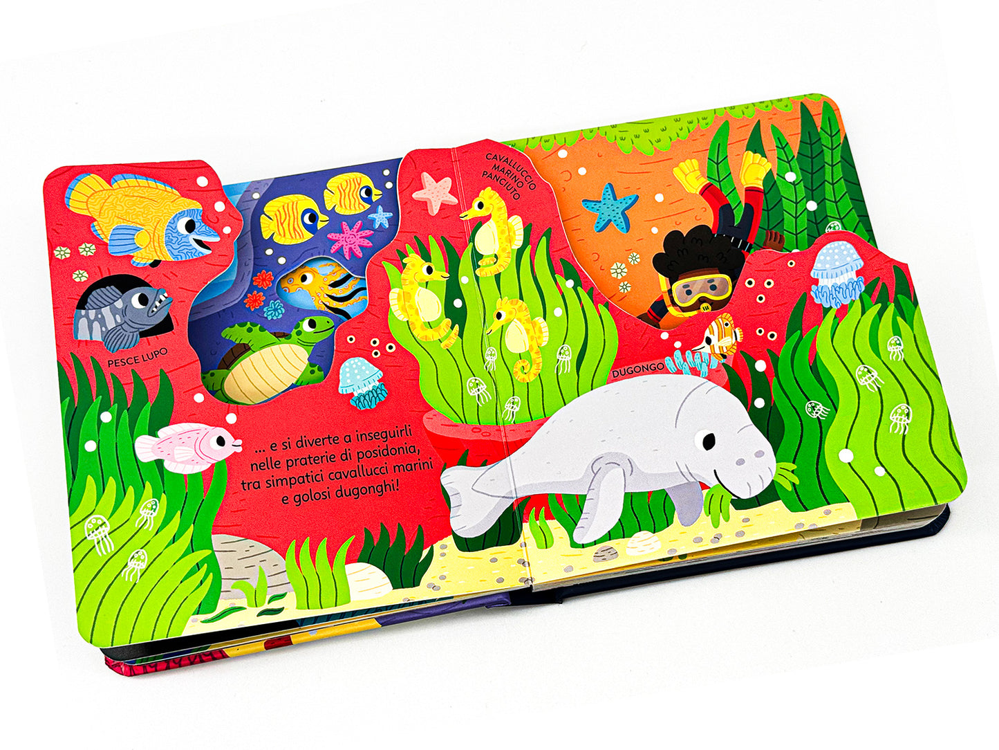 Zoom. Avventura nell'Oceano