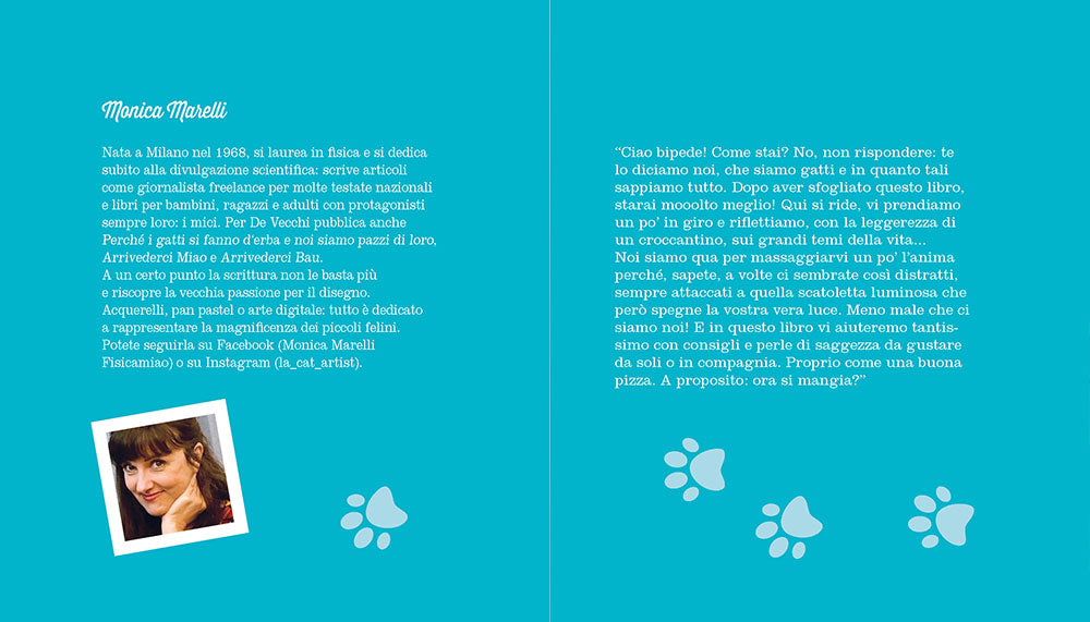 Funny cats. scopri i gatti più buffi del mondo