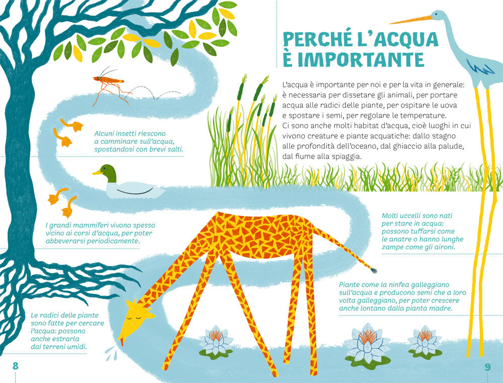 Il ciclo dell’acqua