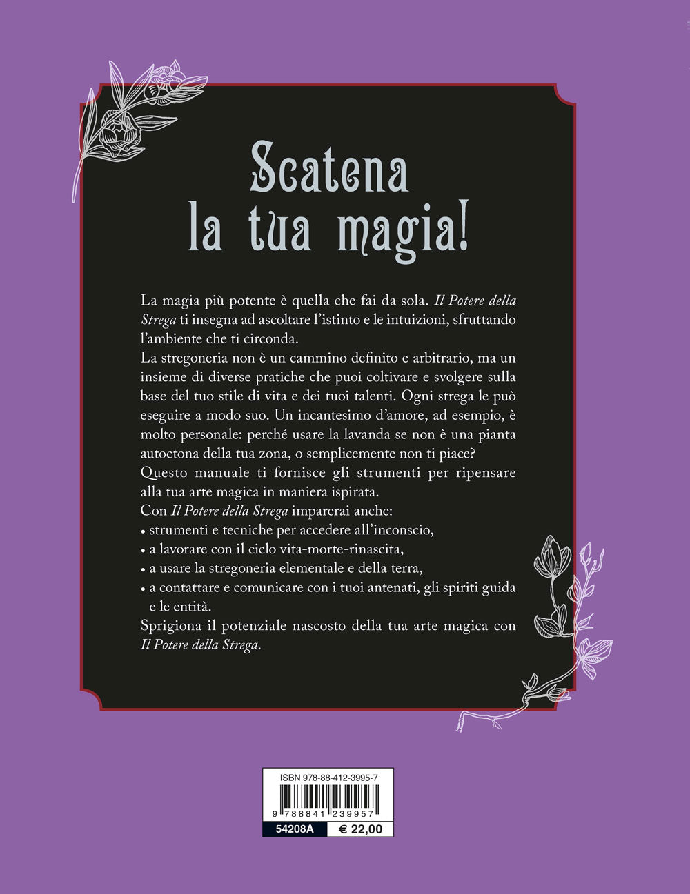 Il potere della strega. Libera il tuo istinto, la tua arte, la tua magia.