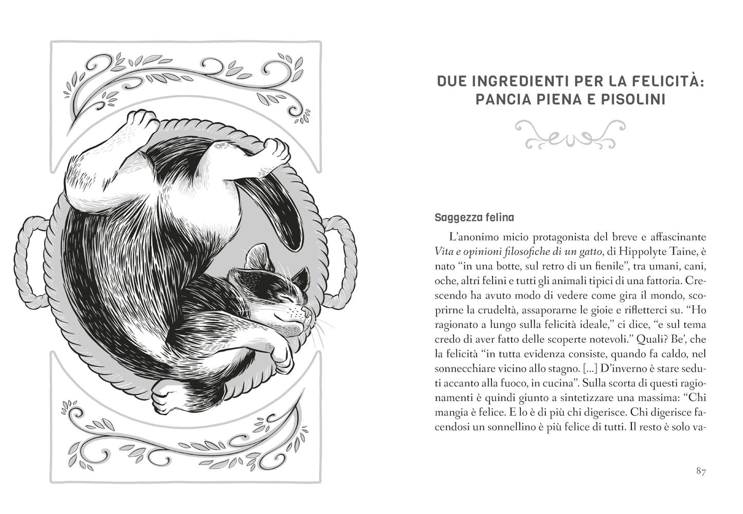 Vita felix. La via dei gatti per un'esistenza felice