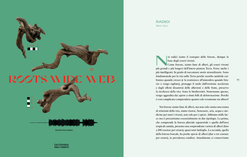 Earthphonia. Le voci della Terra. Le voci della Terra