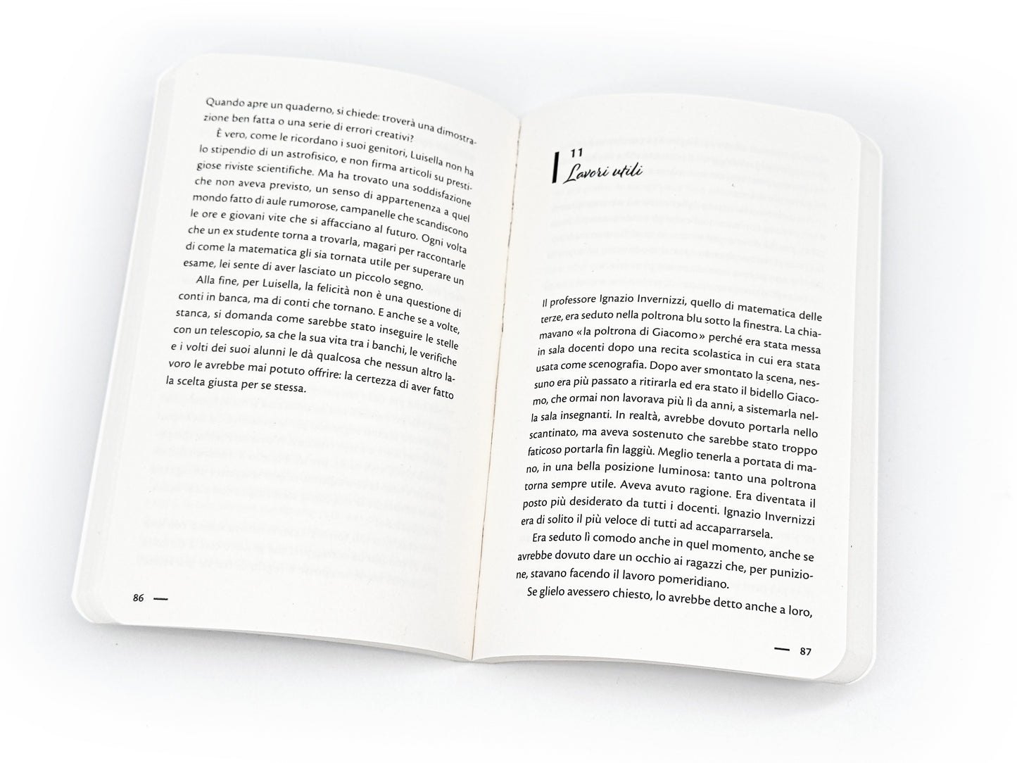 Chi sì e chi no. Una storia di seconde generazioni