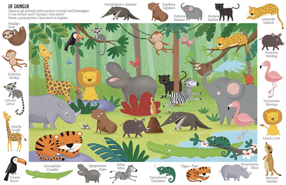 Animali. Cerca, Trova, Impara