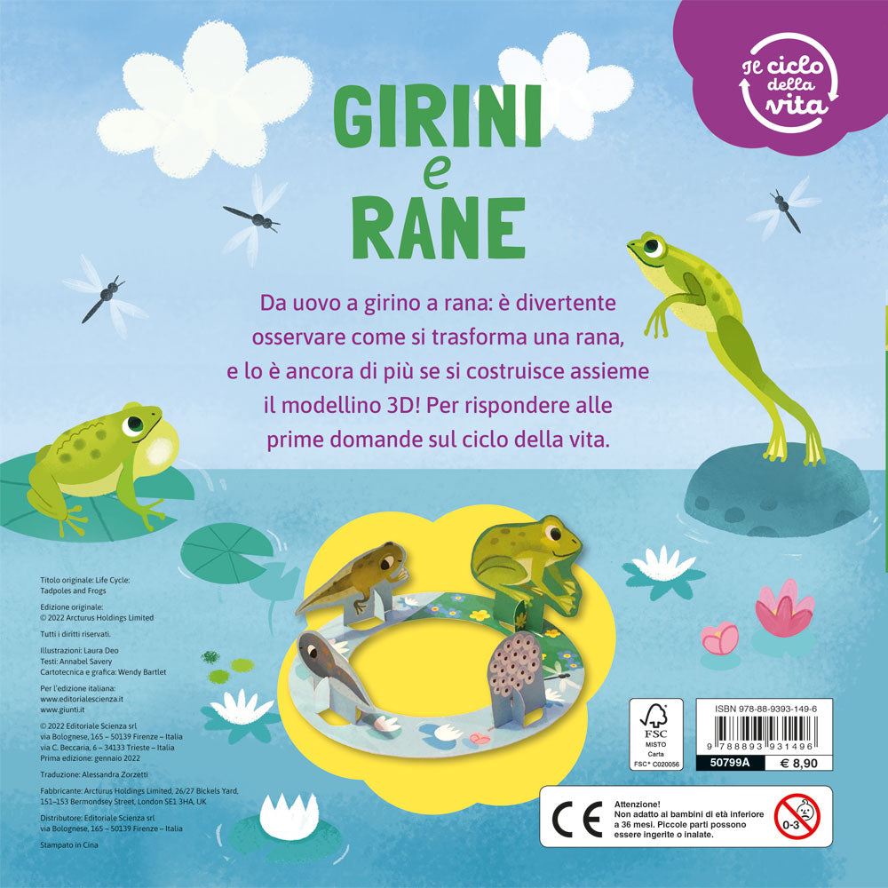 Girini e rane – Il ciclo della vita