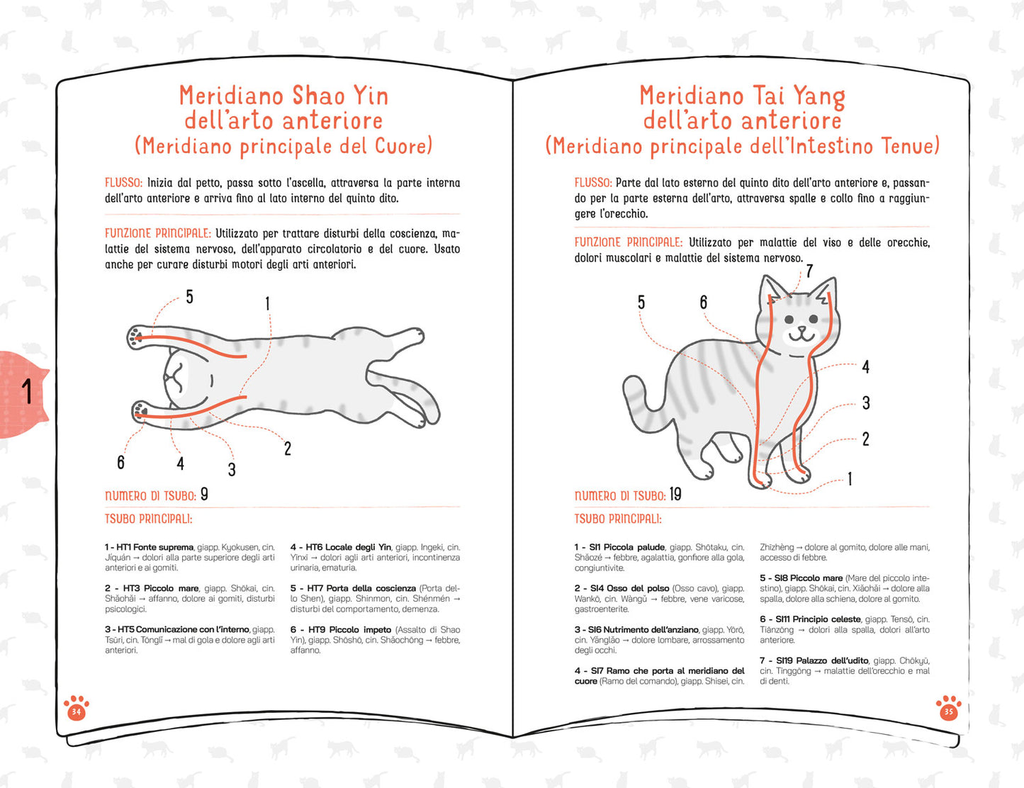 Coccole per gatti. Massaggi e carezze per felini felici