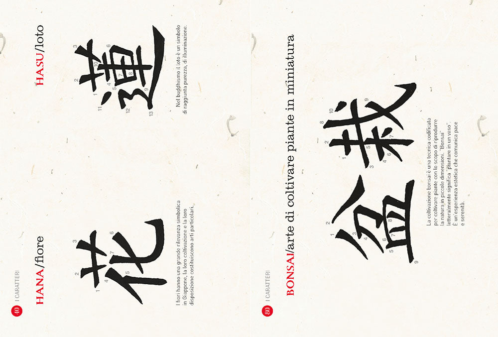 Calligrafia giapponese. Impara a scrivere le prime 60 parole