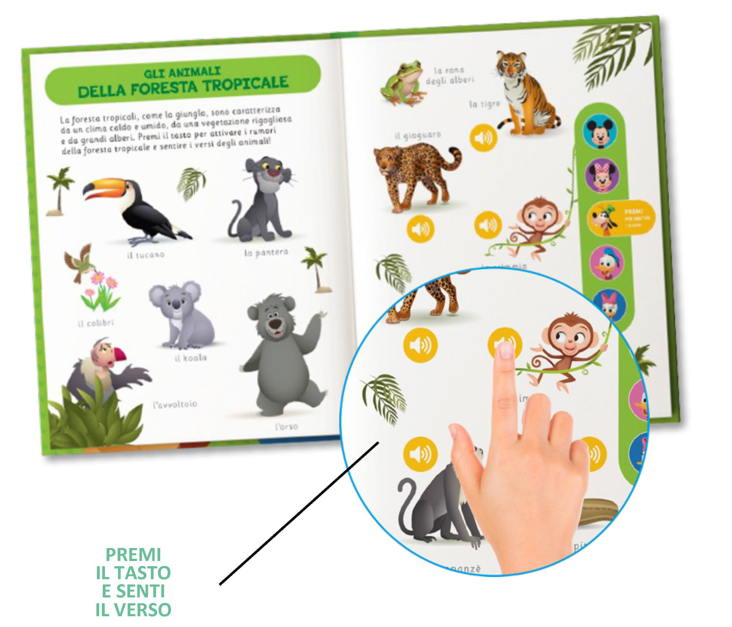 50 suoni Premi e ascolta Gli animali che versi fanno?