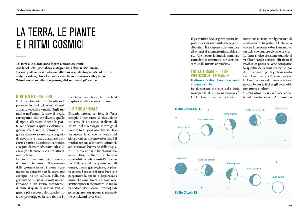 Guida all'orto biodinamico. Seminare, coltivare, vivere la terra