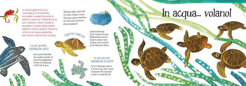 Ti presento la mia famiglia: i rettili