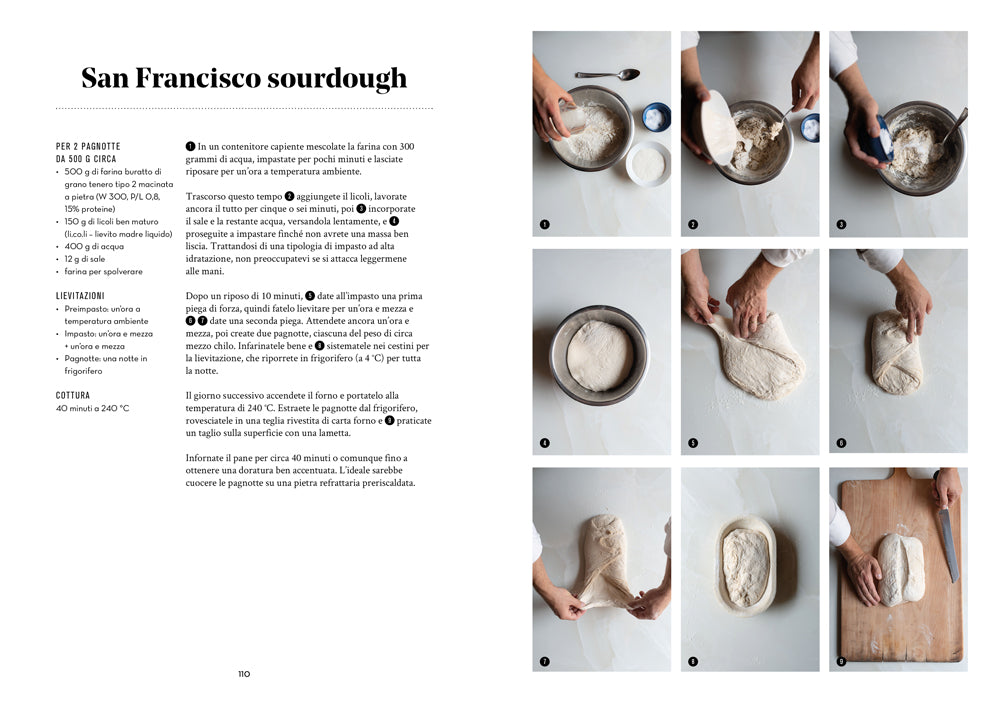 TUTTO IL MONDO DEL PANE. 400 PANI. 70 RICETTE. SCUOLE, TECNICHE, LIEVITI MADRE NEI CINQUE CONTINENTI