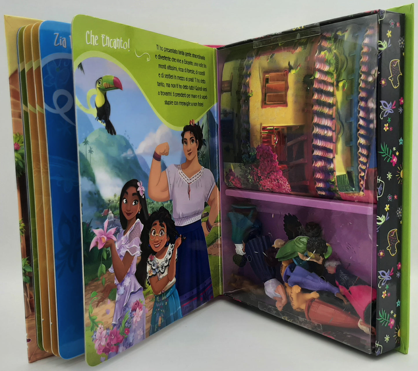 Disney Encanto Maxi Box