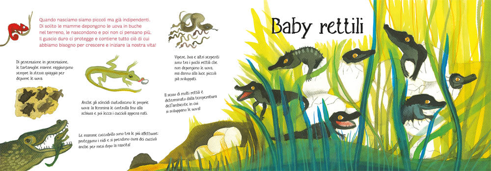 Ti presento la mia famiglia: i rettili