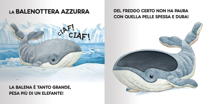 Gli animali da proteggere