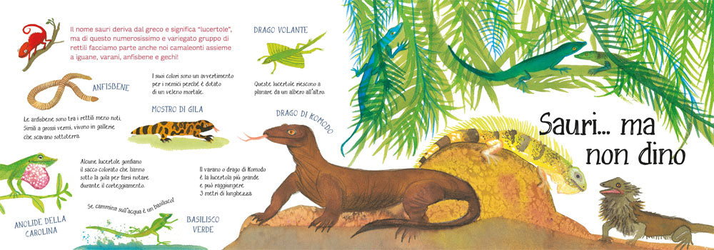 Ti presento la mia famiglia: i rettili